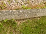 image of grave number 809010